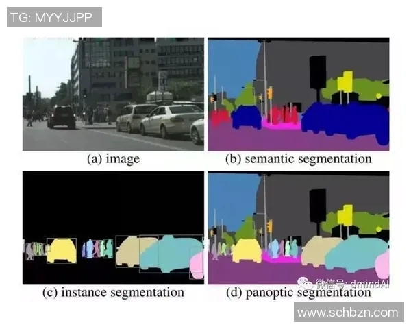 青年赛特别报道WE战队转型之路的挑战与机遇解析 青年赛特别报道WE战队转型之路的挑战与机遇解析