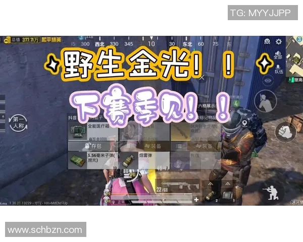 张芳深度解析和平精英S15赛季战术与技巧分享,助你轻松上分 张芳深度解析和平精英S15赛季战术与技巧分享,助你轻松上分