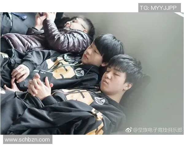 电竞比分与和平精英焦点RNG的节奏分析与探讨之旅